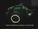 tagvulgaire.jpg  26.9 Ko