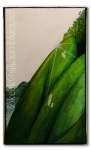 nature1-26x16.JPG  77.1 Ko