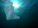 plasticsea.jpg